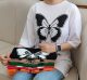تیشرت لانگ پروانه 🦋